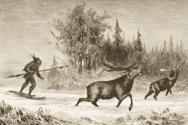 ノースウエスタンテリトリーでのネイティブアメリカンのムース狩猟、1880年頃